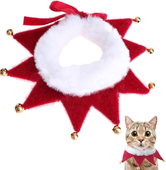 Puppy halsband: 15x de beste van 2026 [Uitverkoop
