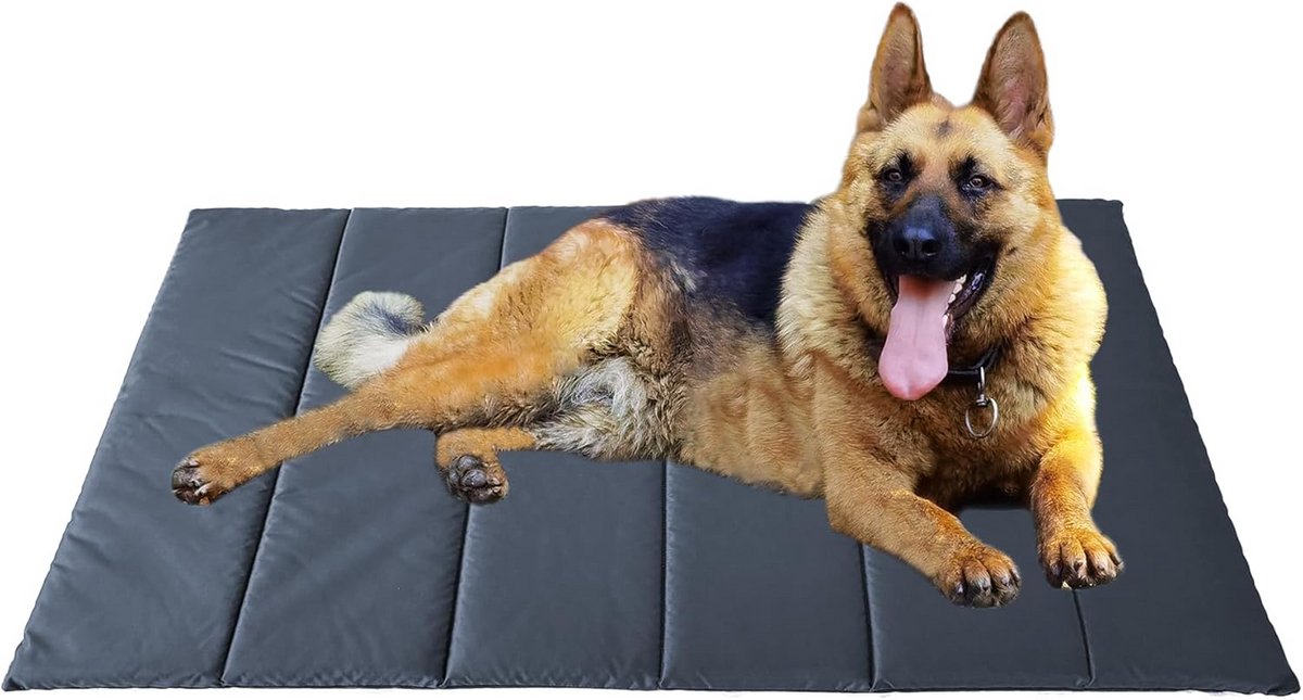 Grote Hondendeken 120x70 cm - Wasbaar & Waterdicht Hondenkussen voor Reizen en Buiten