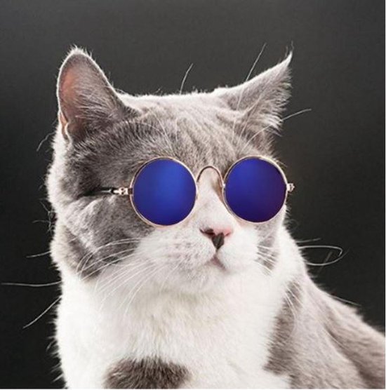 Dieren Bril - Zonnebril voor katten en honden - Blauw | bol.com