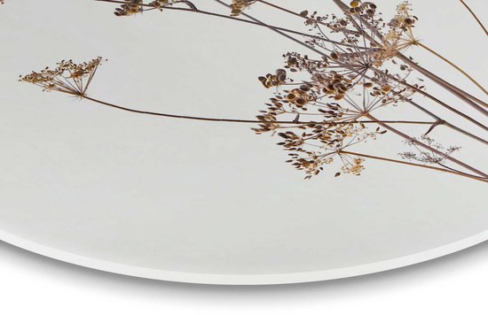 Bereklauw Nature - Plante - Séchée - Fleurs - Peinture sur Glas rond - Diamètre 50 cm