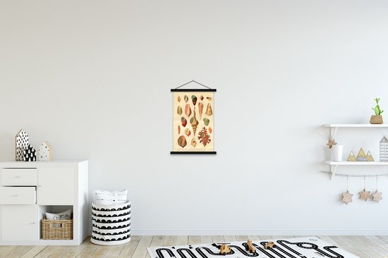 Affiche scolaire - Coquillages - Vintage - Dessin - 40x60 cm - Lattes noires