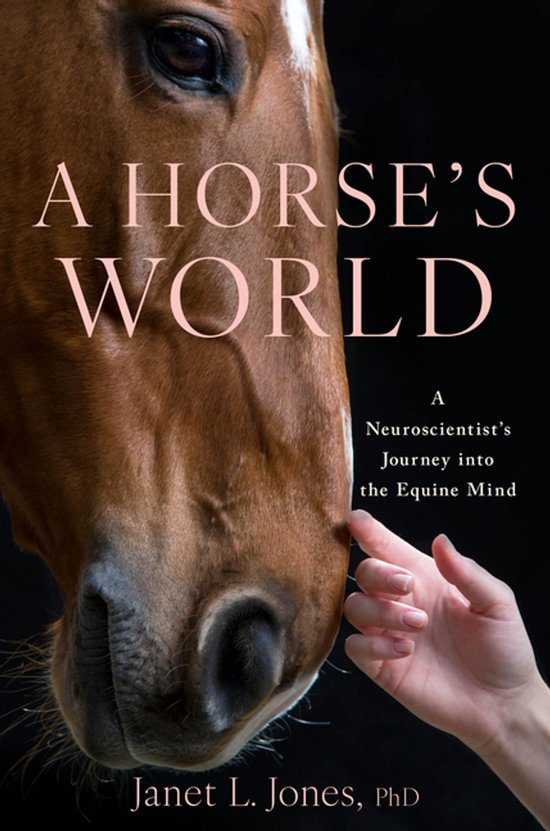 Boekomslag met een close-up van een bruin paard en een hand die het dier aanraakt. Titel: A HORSE'S WORLD.