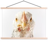 Kip devant fond blanc lattes d'affiche textielposter vierge 60x40 cm