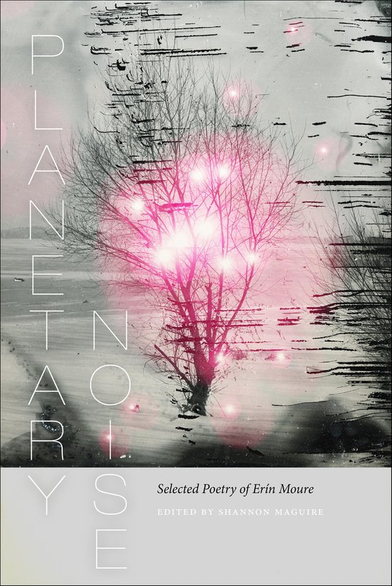 Wesleyan Poetry Series - Planetary Noise - cover