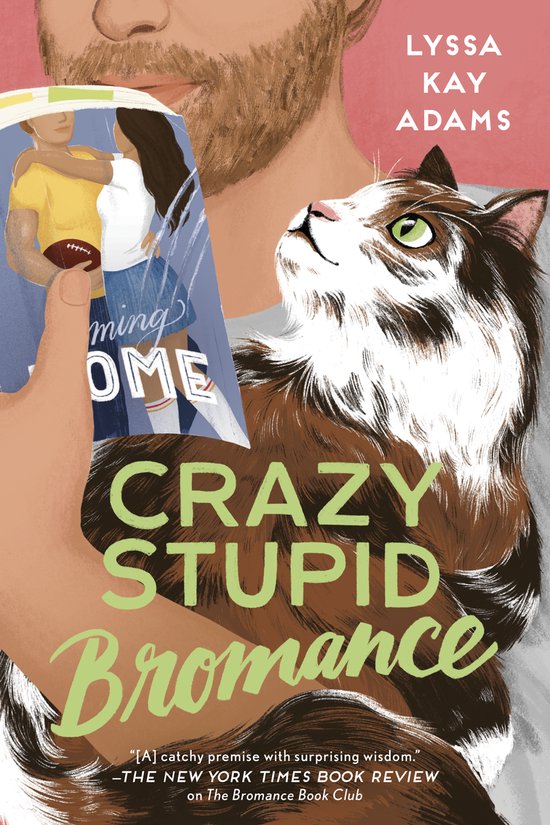 Crazy Stupid Bromance - cover