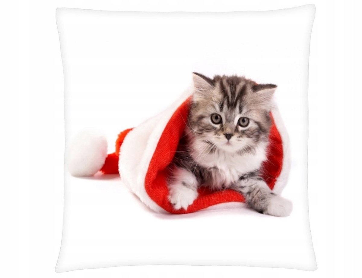 Kerstkussen 40x40 cm - Feestelijke Kattenprint