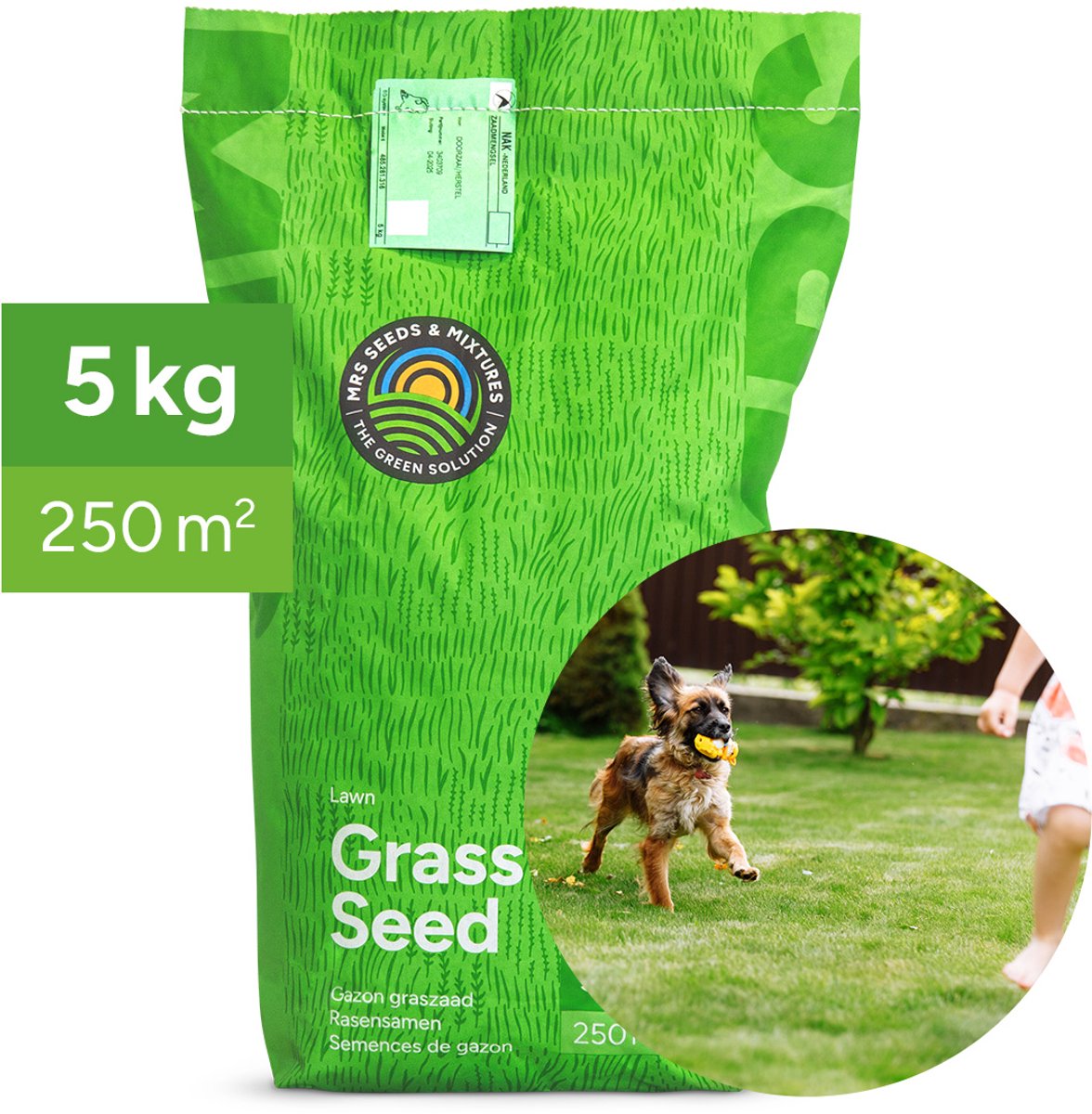 MRS Play & Sport - Graszaad Speel- en Sportgazon - 5 kg voor 250 m² - IJzersterk gazon - Hoog zelfherstellend vermogen - Zeer dichte zode - Snelkiemend - NAK-gecertificeerd