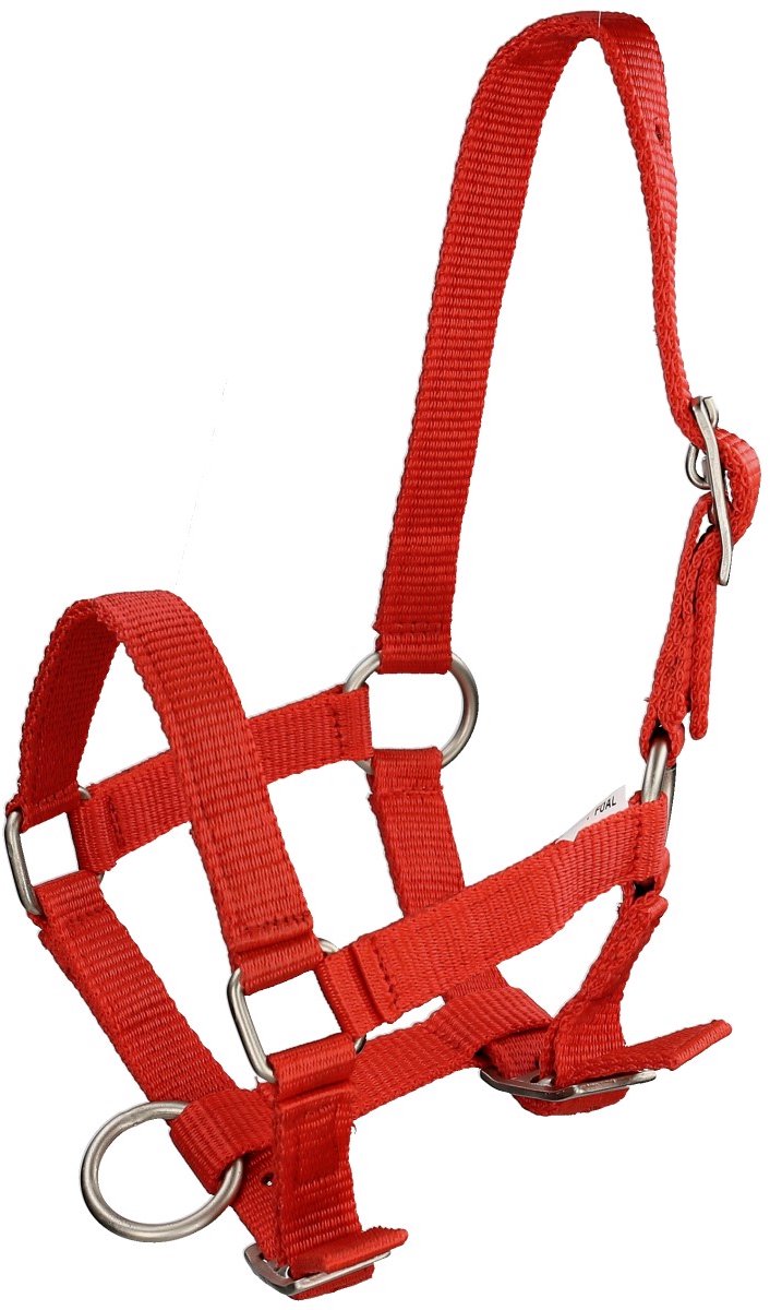 Q-essentials Veulenhalster Q-essentials Mini Rood