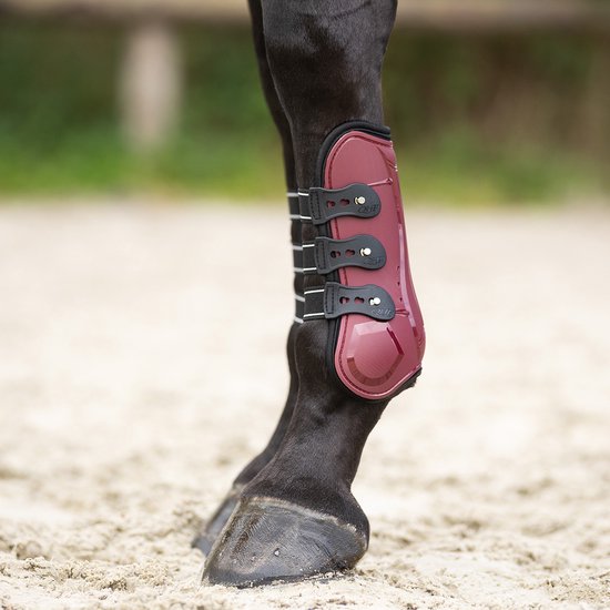 Paardenbeen met donkerrode peesbeschermer, voorzien van drie zwarte klittenbandsluitingen met witte strepen.