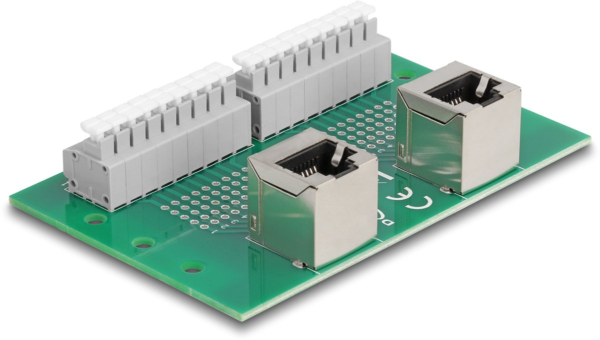 Delock RJ45 2 x female to 2 x Terminal Block with push-button for DIN rail angled
