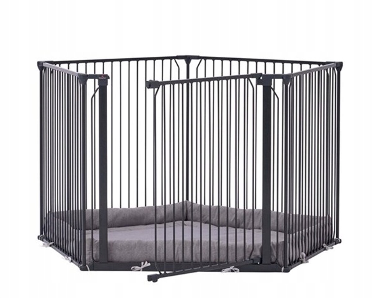 BabyDan Carl Pentagon Coin - Veilig en flexibel