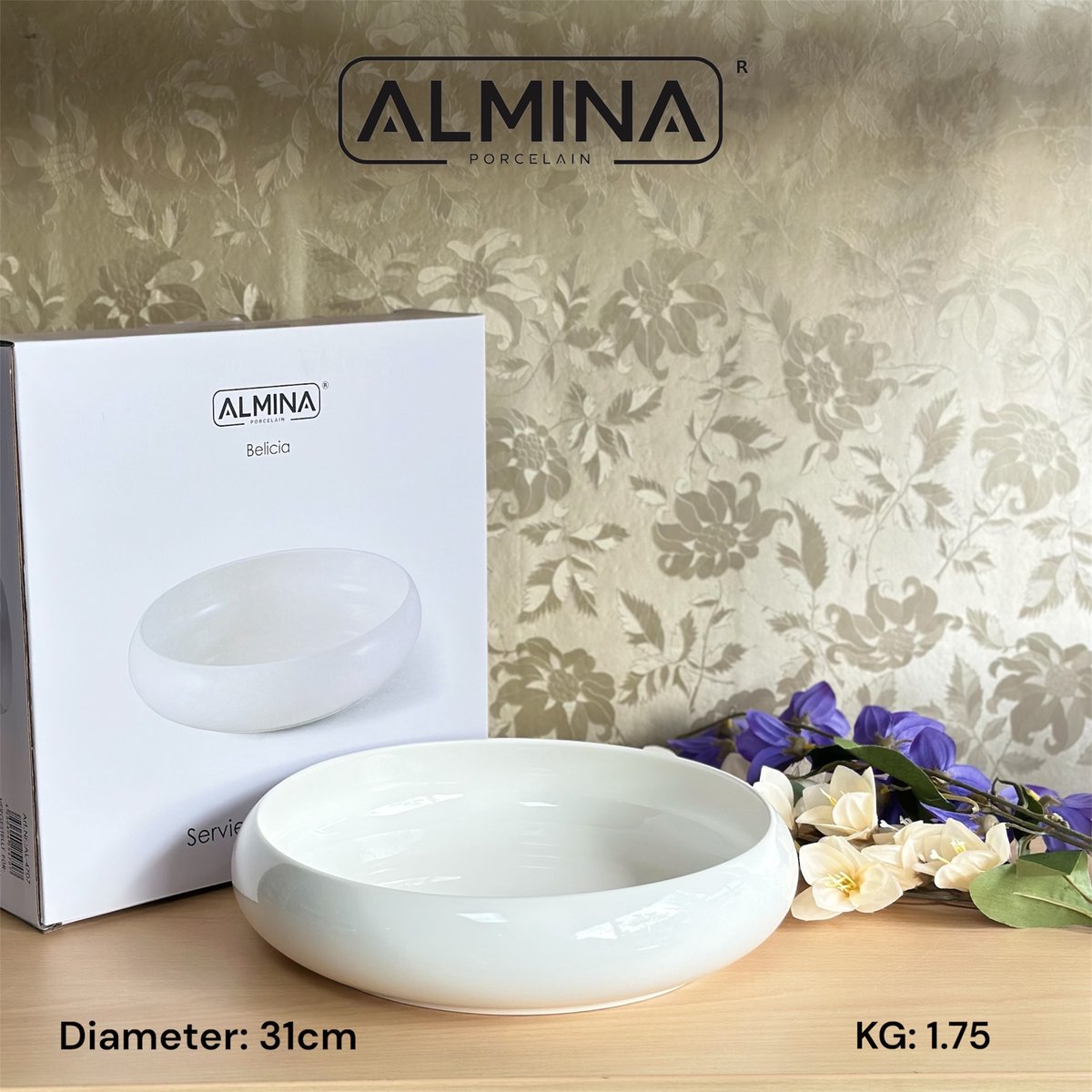 Almina belicia 31 cm schaal - 1.75KG zwaar