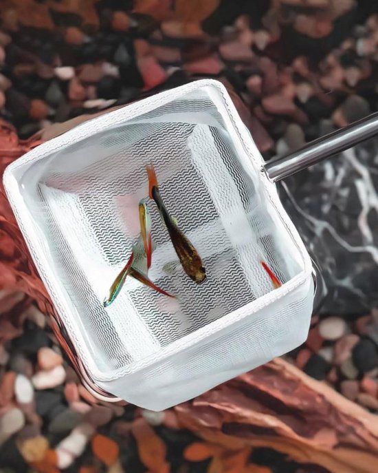 Schepnet voor Aquaria met Verstelbare Telescoopgreep - Ideaal voor Kleine Vissen en Garnalen — afbeelding 3
