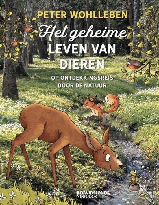 Couverture de livre avec illustration d'un cerf, renard, grenouille et oiseaux dans une forêt. Texte : "Het geheime leven van dieren".
