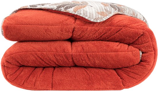 Dekbed Zonder Overtrek, 4 Seizoenen Dekbed, Teddy, Wasbaar Dekbed Beige 200x200 Cm Tweepersoons Teddy Dekbedovertrek 2 In 1 Dekbed Hoesloos Dekbed Ultra Soft Dekbed Dubbelzijdig Wasbaar Zach