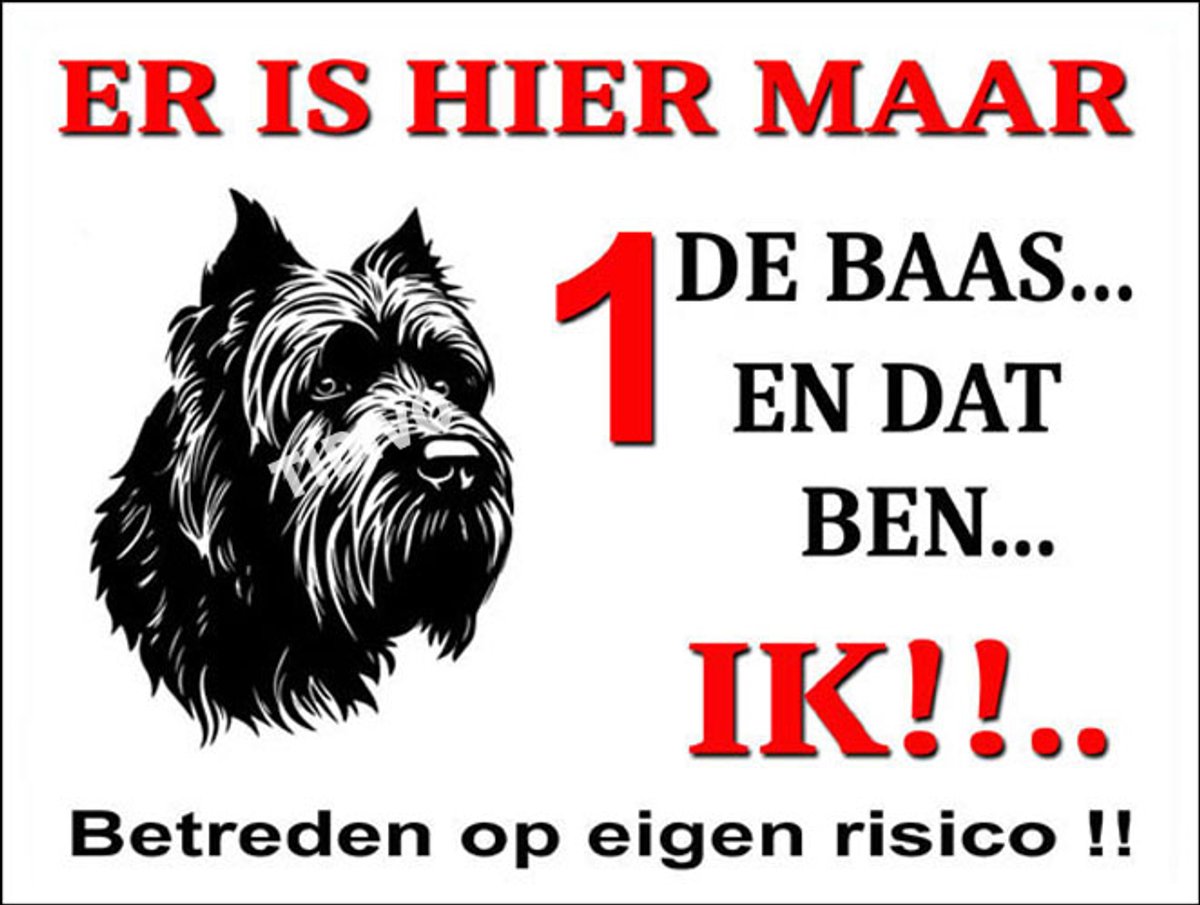 Bouvier 26