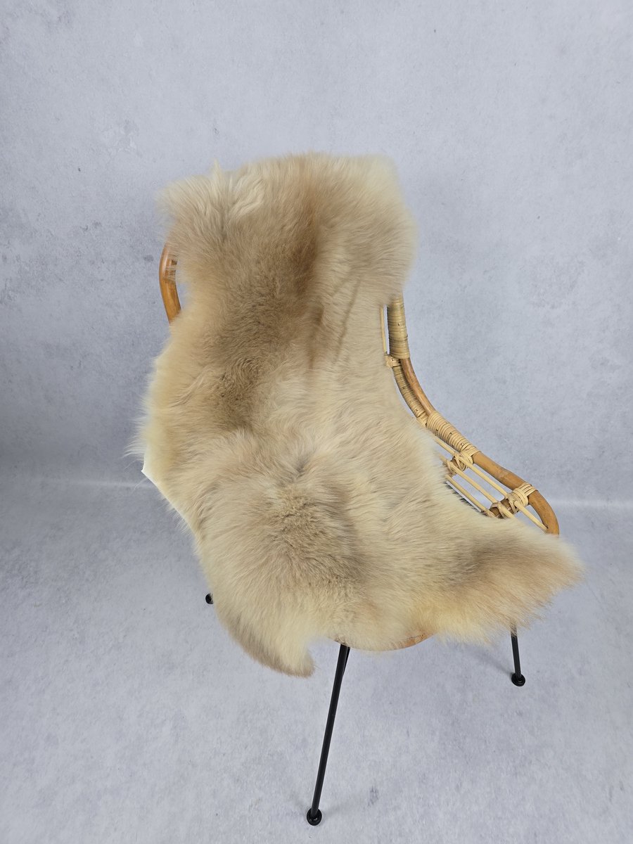 Schapenvacht Albanees – Woondecoratie – Exclusieve collectie – Taupe, Bruin, Beige, Crème – 100% echt natuurlijke wollen vacht – 110x65 cm