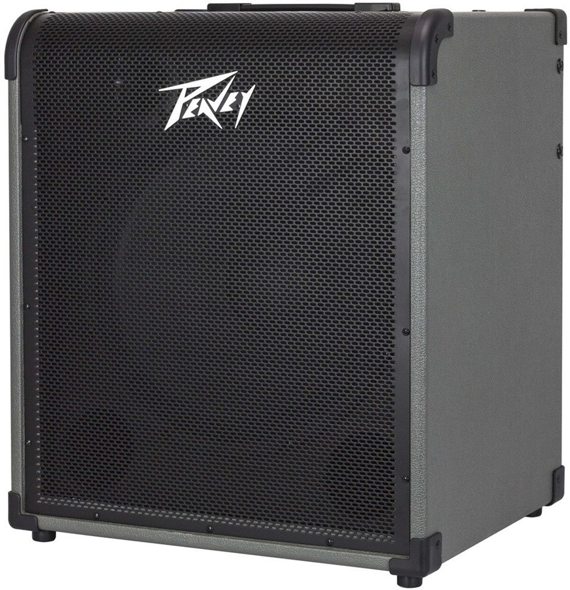 Peavey MAX 250 1 x 15 inch basgitaarversterker