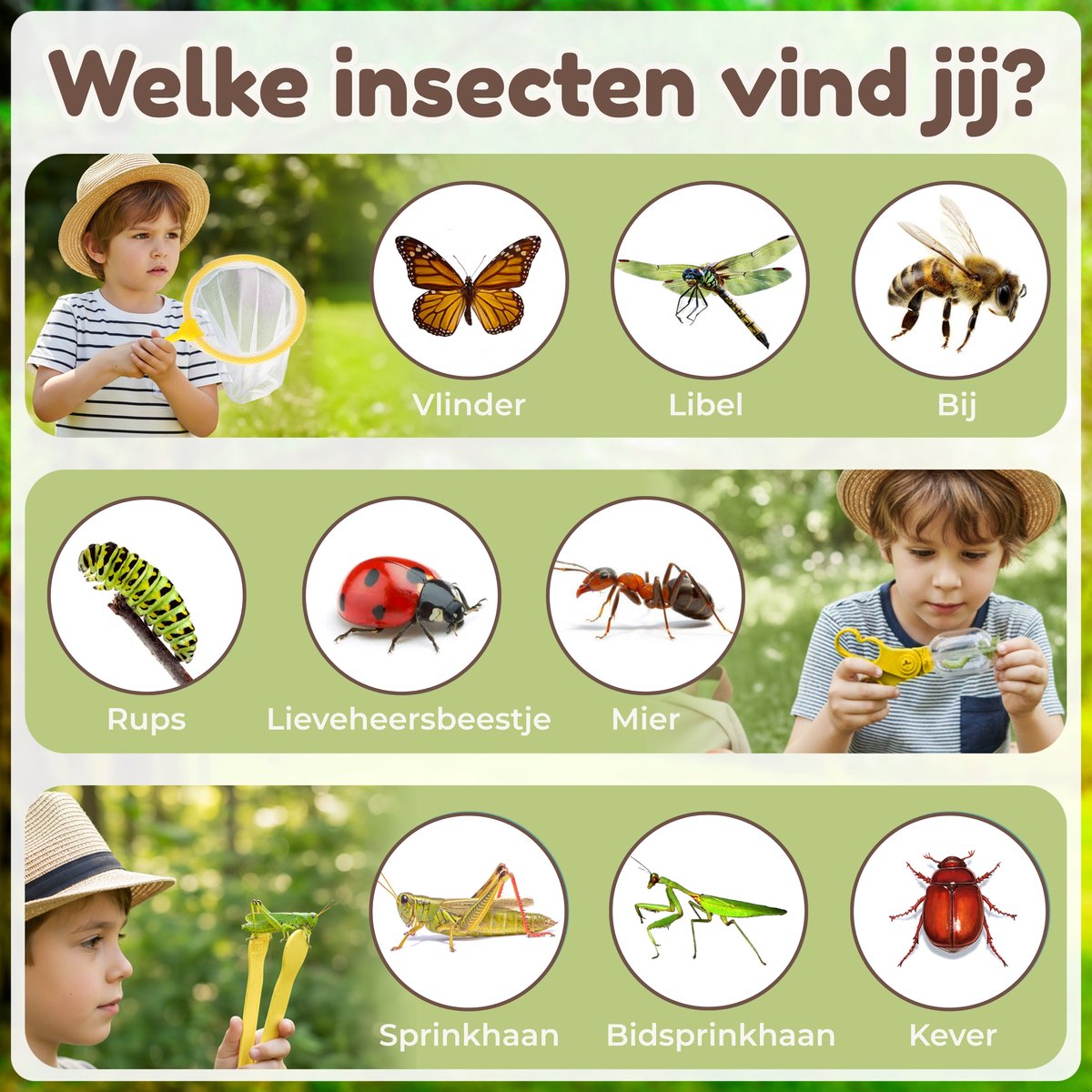 ANNSTÉ Insectenpotje - met Vergrootglas Kinderen - Insecten Speelgoed - Educatief Speelgoed - Insecten Explorer - Insectenloep - Ontdekken - Insectenkijker - Loeppotje - Buitenspeelgoed - Bioplastic - 10 Delige Set — afbeelding 6
