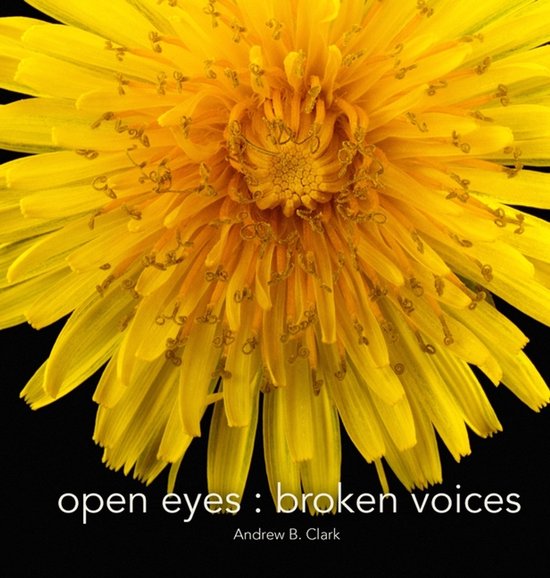 Open Eyes Broken Voices - cover