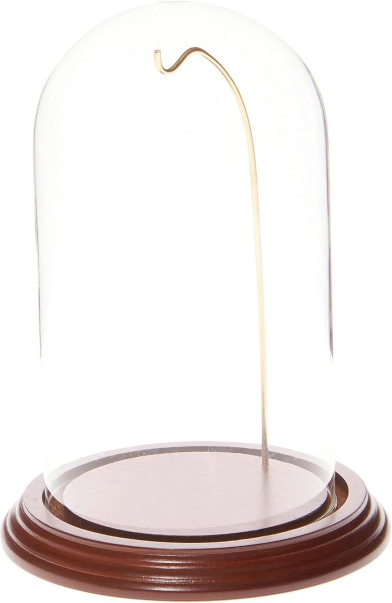 Glazen Display Dome Met Walnoot Fineer Basis en Gouden Draad - 4" x 7"