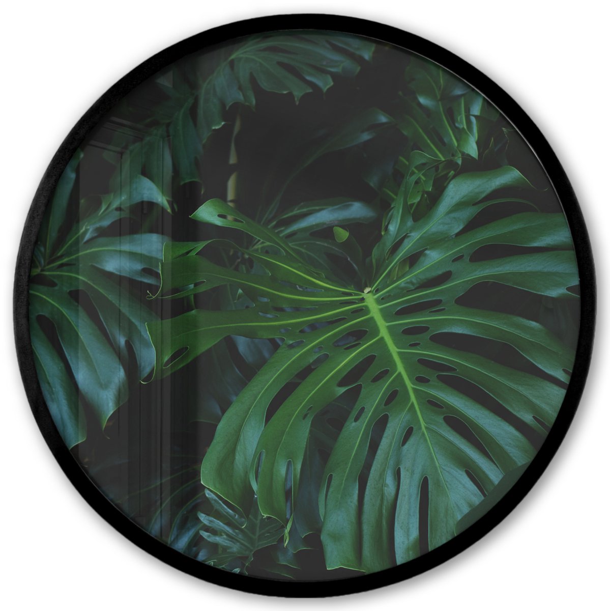 FrameYourWall Poster in lijst Rond - Fotolijst 40x40 cm - Posters - Monstera - Bladeren - Tropical - Ronde posterlijst zwart - Decoratie - Wanddecoratie woonkamer - Muurdecoratie slaapkamer Multicolor