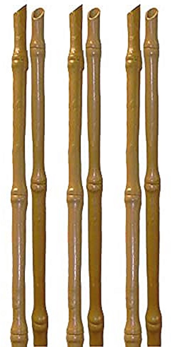 Trellis Bamboe Beige 1,2 m - 6 Stuks voor Plantensteun