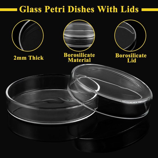 Tuuters Petrischaal 5x petrischalen van glas met deksel laboratorium helder glas, steriliseerbaar (15 x 100 mm