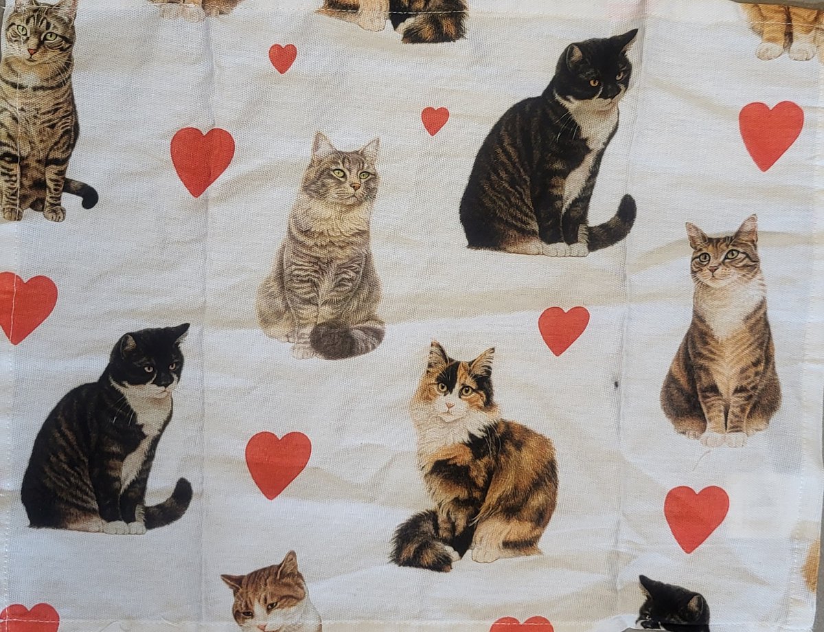 Franciens Katten Placemats 100% katoen - set van 2 stuks katten en poezen