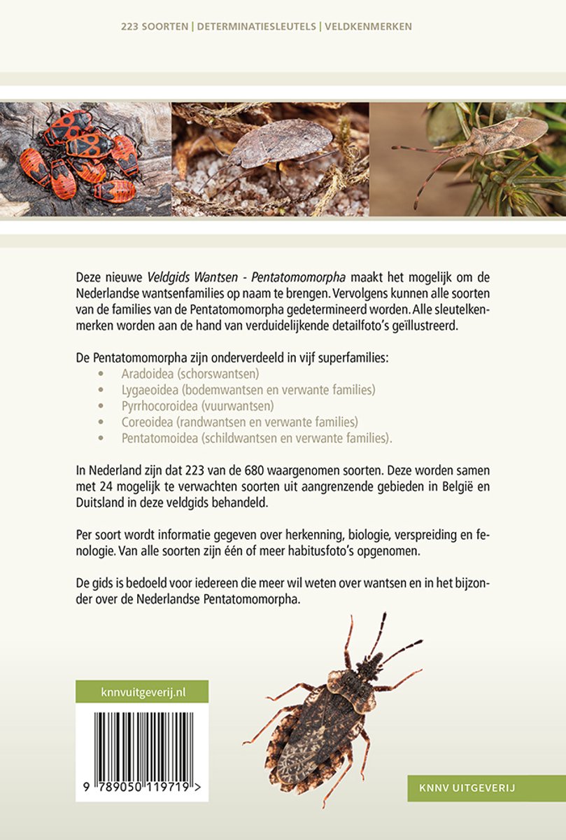 Veldgids met afbeeldingen van verschillende wantsensoorten en details.