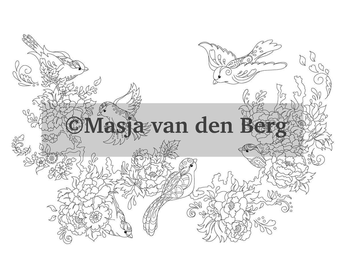 Masja van den Berg - Mijn wonderlijke wereld THE BEST OF - kleurboek - kleuren voor volwassenen -dieren — afbeelding 4