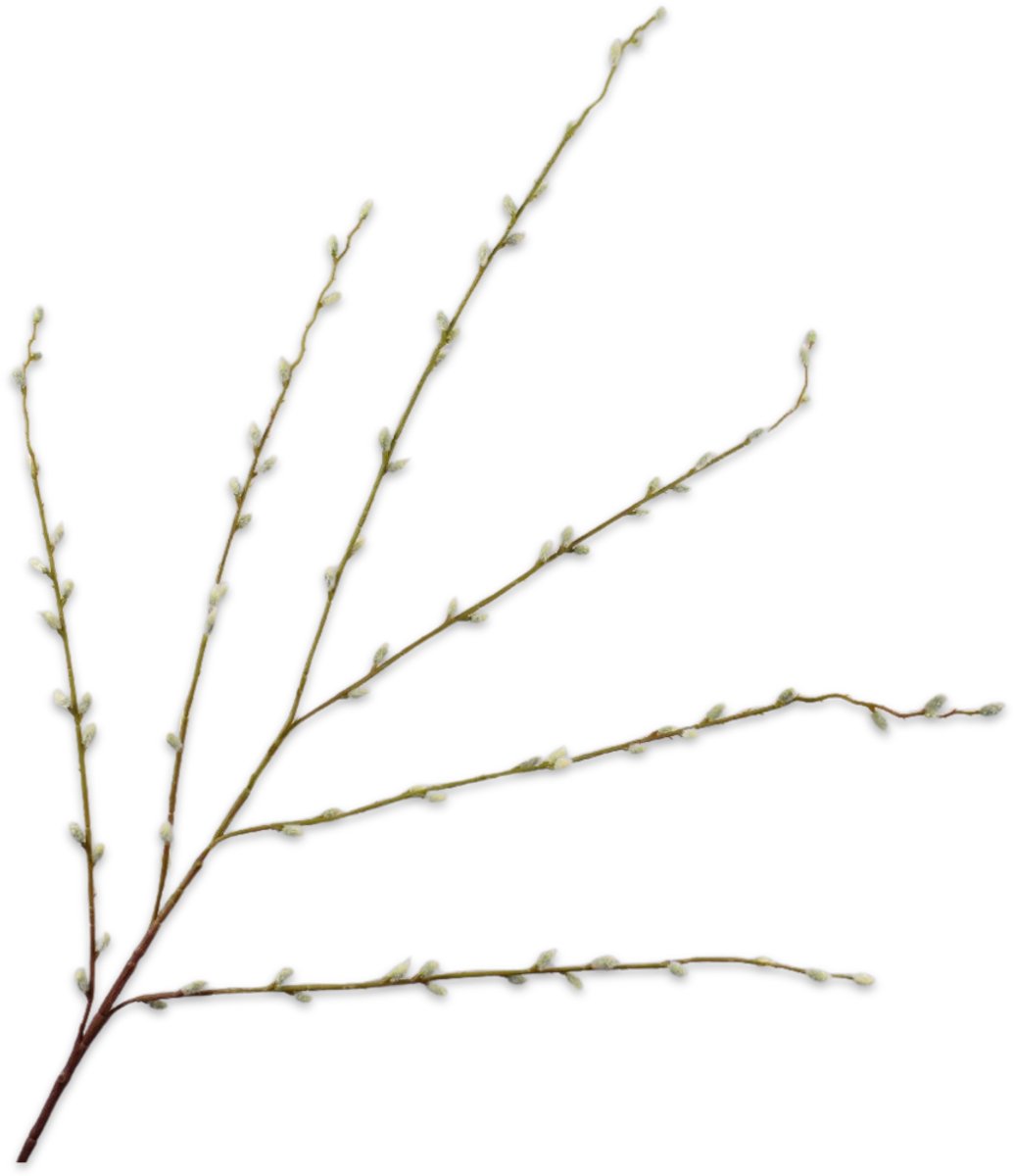 Silk-ka Kunstbloem - groen - H111 cm