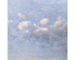Newmoon - Temporary Light (LP)