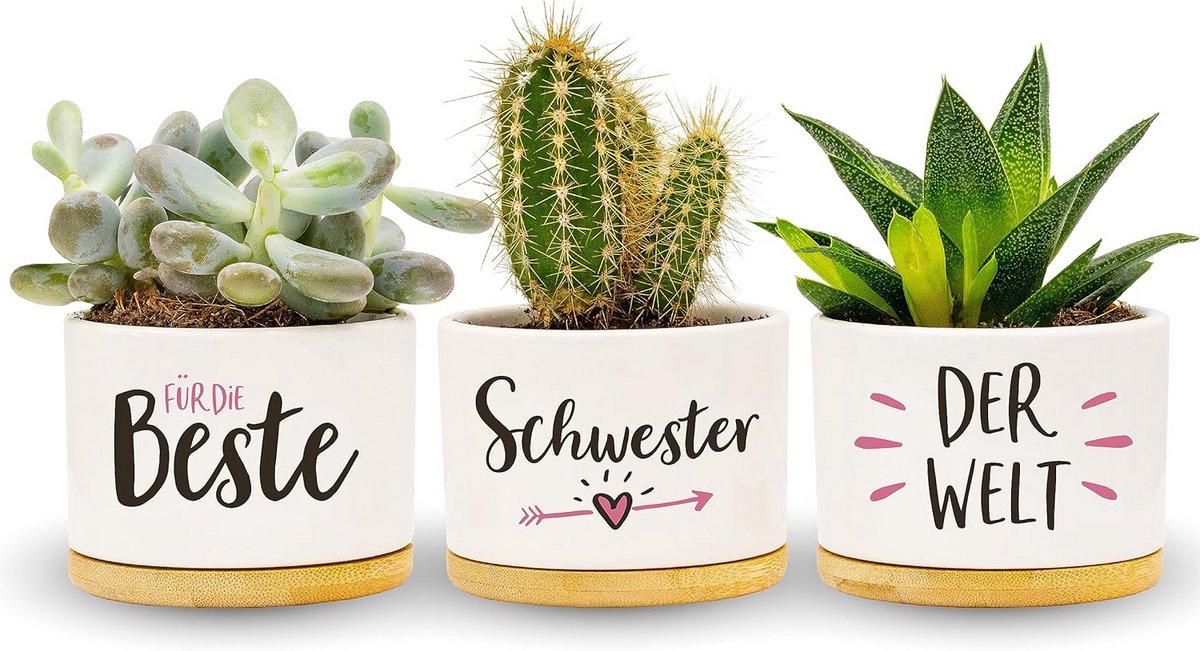 Beste Zus Cadeaus voor Verjaardag en Kerst - Unieke Kruidentuin Bloempotten