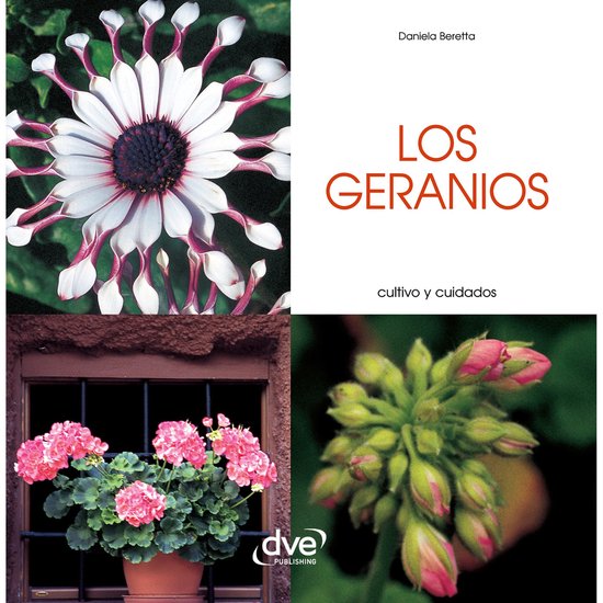 Los geranios - Cultivo y cuidados - cover