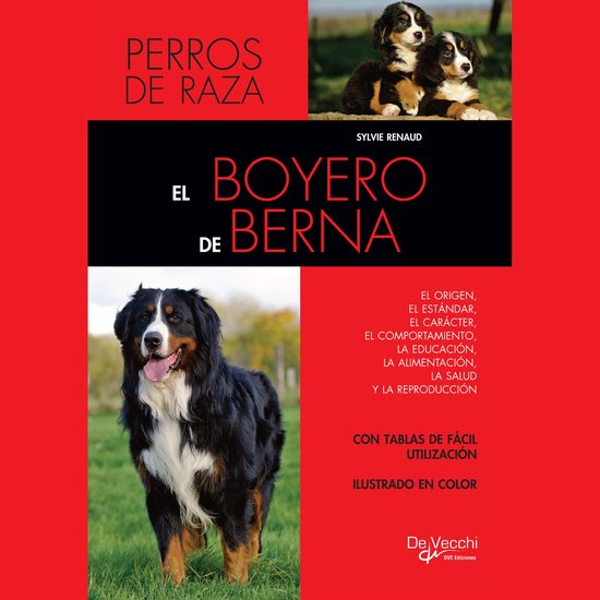El boyero de Berna - cover