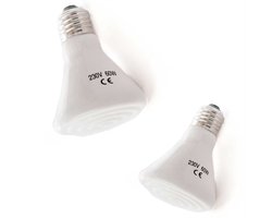 Keramische Donkerstraler 60W – 2 stuks – Infrarood Warmtelamp Zonder Licht – E27 Fitting – 20.000 branduren – Voor Terrarium, Kuikens, Reptielen, Pups & Kittens