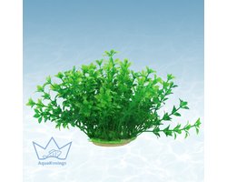 AquaKonings - Aquarium decoratie - Aquarium kunst planten - Nepplanten - Kunstplant -Flora groen - 20x16x11