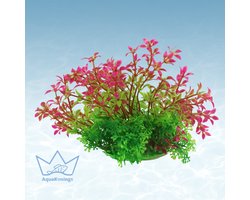 AquaKonings - Aquarium decoratie - Aquarium kunst planten - Nepplanten - Kunstplant -Flora Paars - 20x16x11