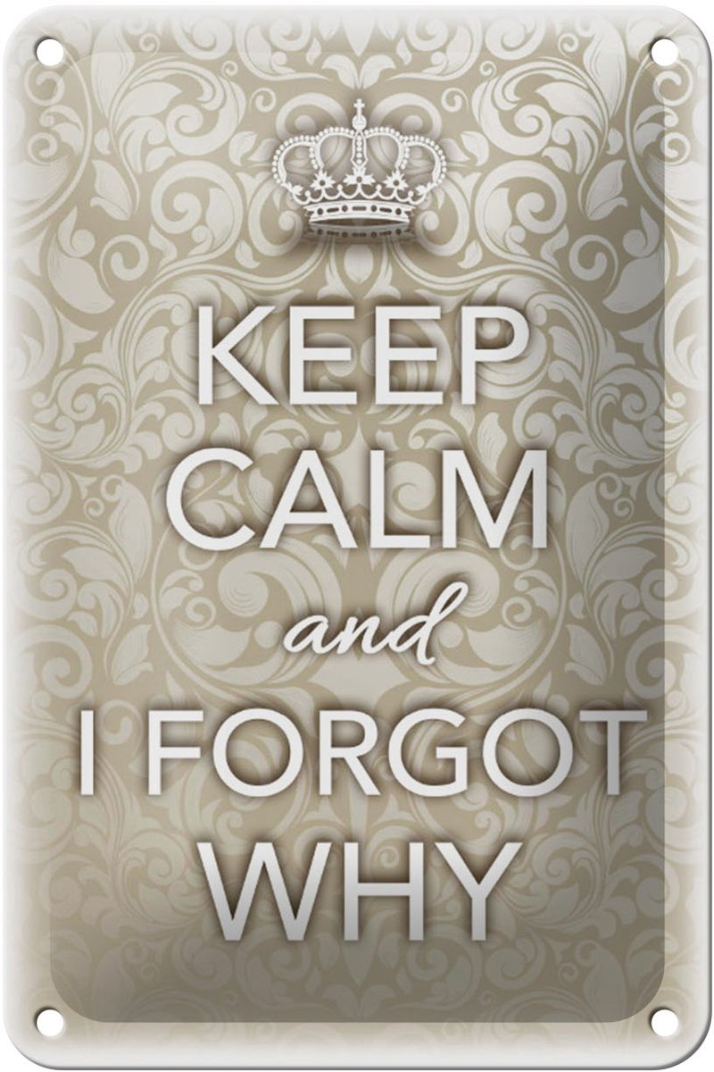 Blechschild Spruch 12x18cm Keep Calm and i forgot why
