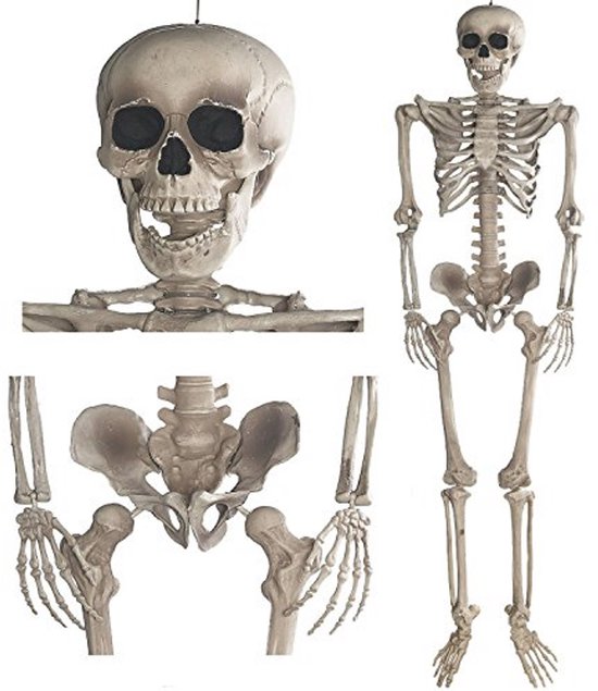 Hangende horror decoratie skelet 30 cm bruid | Fun en Feest