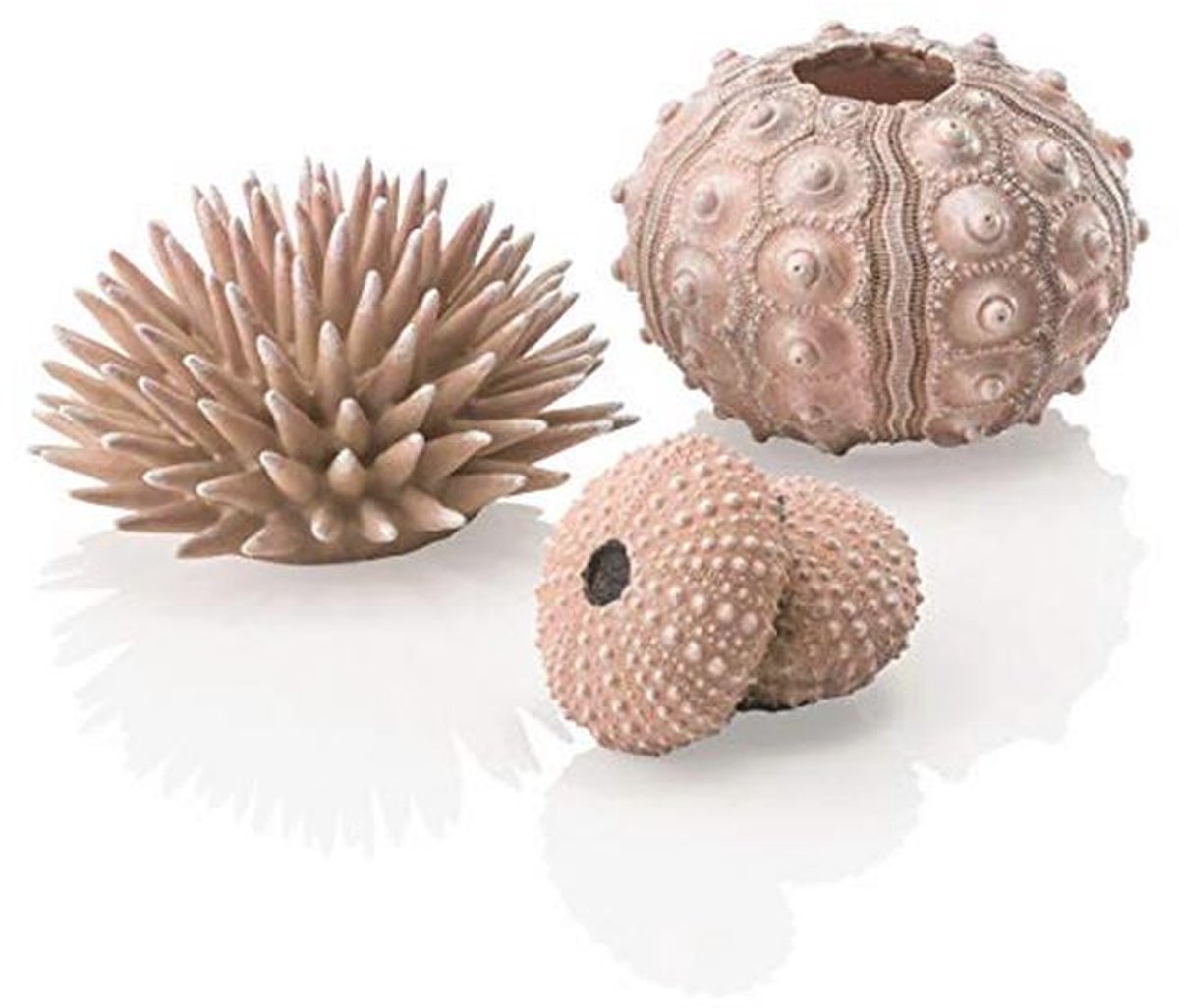 biOrb 48366 zee-egelset, naturel, naturel