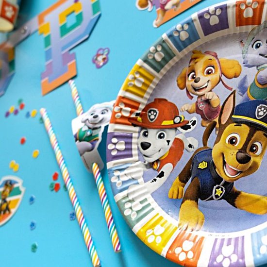 Een papieren bord met de Paw Patrol pups Marshall, Chase, Skye, Everest en Rubble, omringd door gekleurde pootafdrukken.