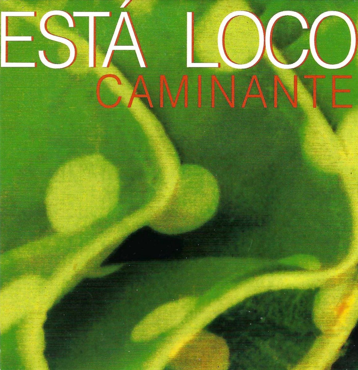 Esta Loco - Caminante (CD-Single)