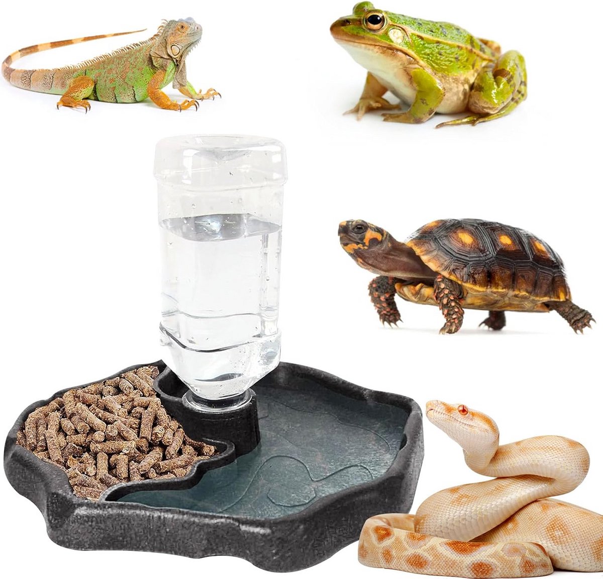 Automatische Waterbak en Voederbak voor Reptielen en Schildpadden - Drinkvoorziening Terrarium