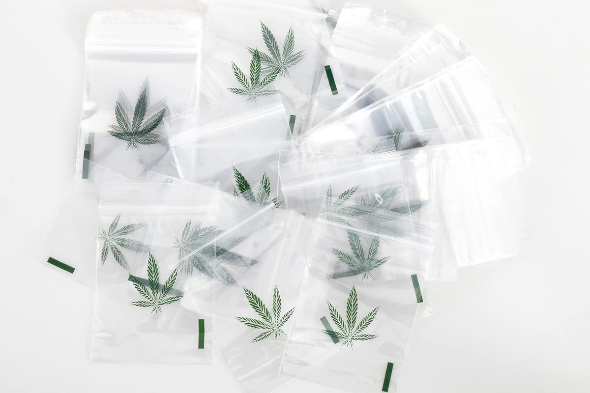 1000 Stuks Sterke Sluitzakjes 60x80 mm - Hersluitbare Plastic Zakjes met Druksluiting