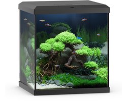 Juwel aquarium vio cube 54 met filter zwart - 54 liter - ...