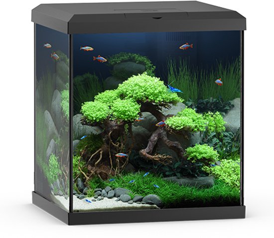 Juwel aquarium vio cube 54 met filter zwart - 54 liter - 41 x 36 x 47 cm