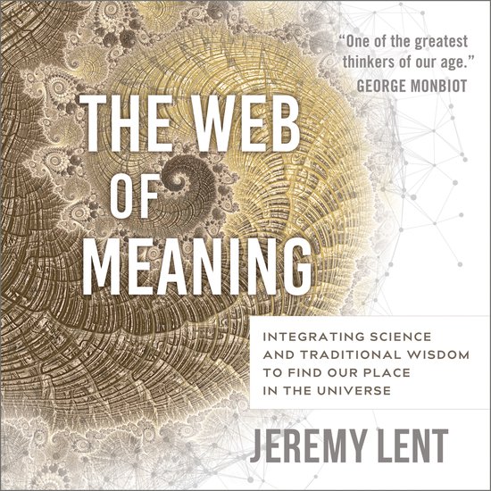 The Web of Meaning - cover