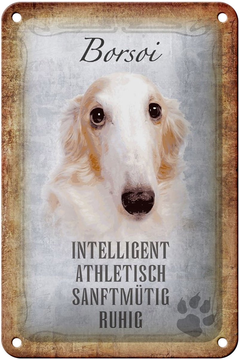 Blechschild Spruch 12x18cm Borsoi Hund athletisch Schild